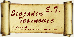 Stojadin Tešinović vizit kartica